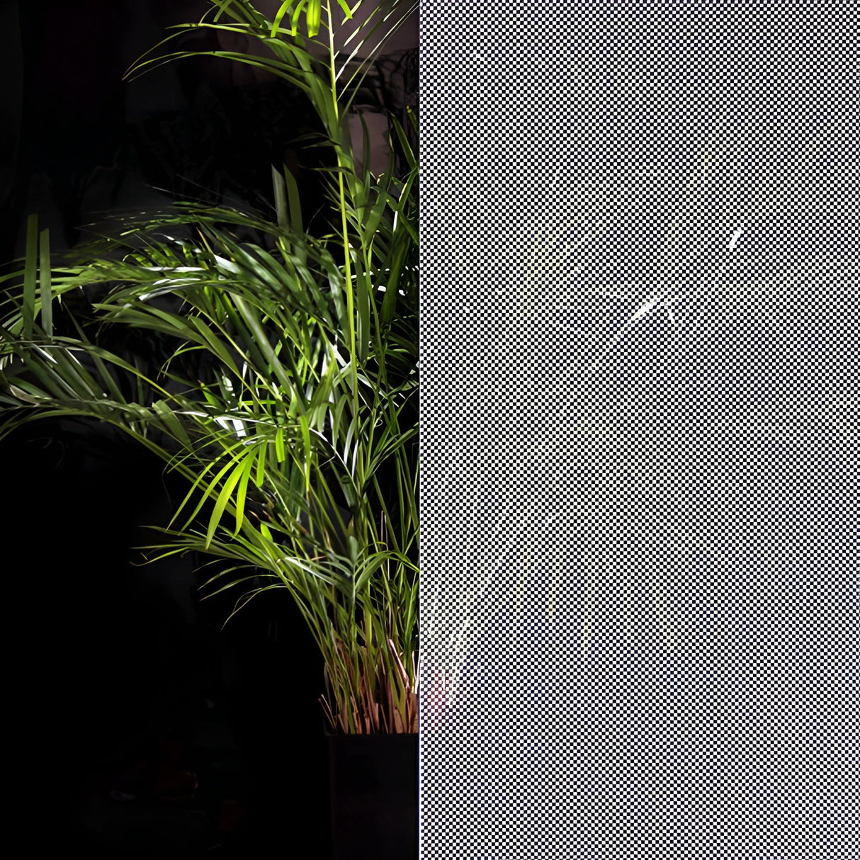 Designer 3mm Fritted Dots White