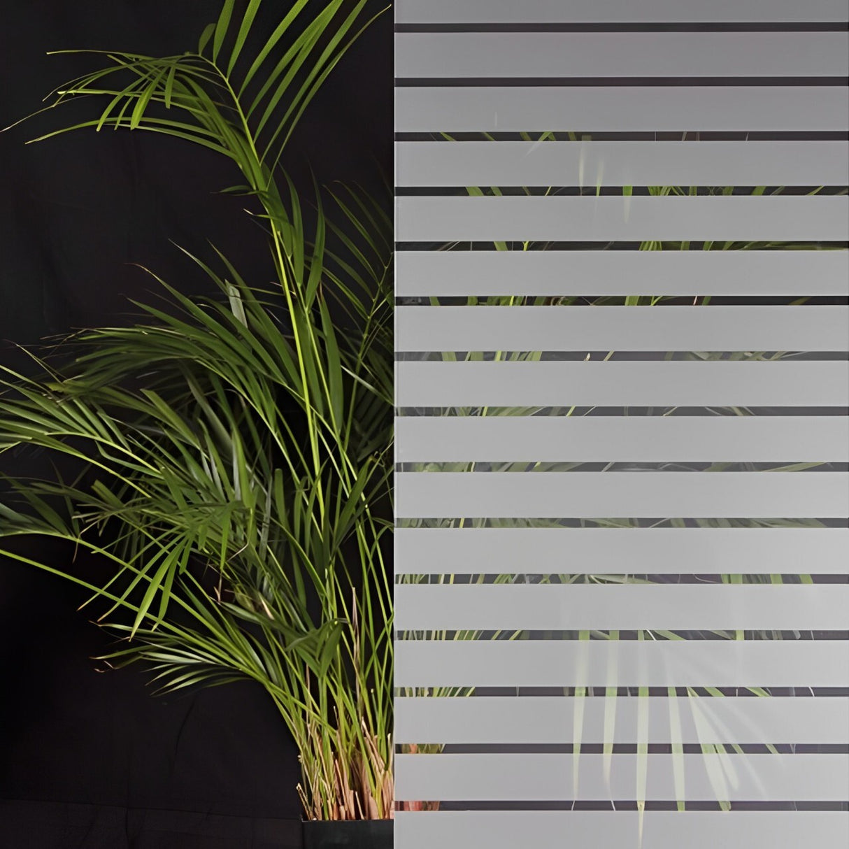 Frosted Window Film 45mm Stripe