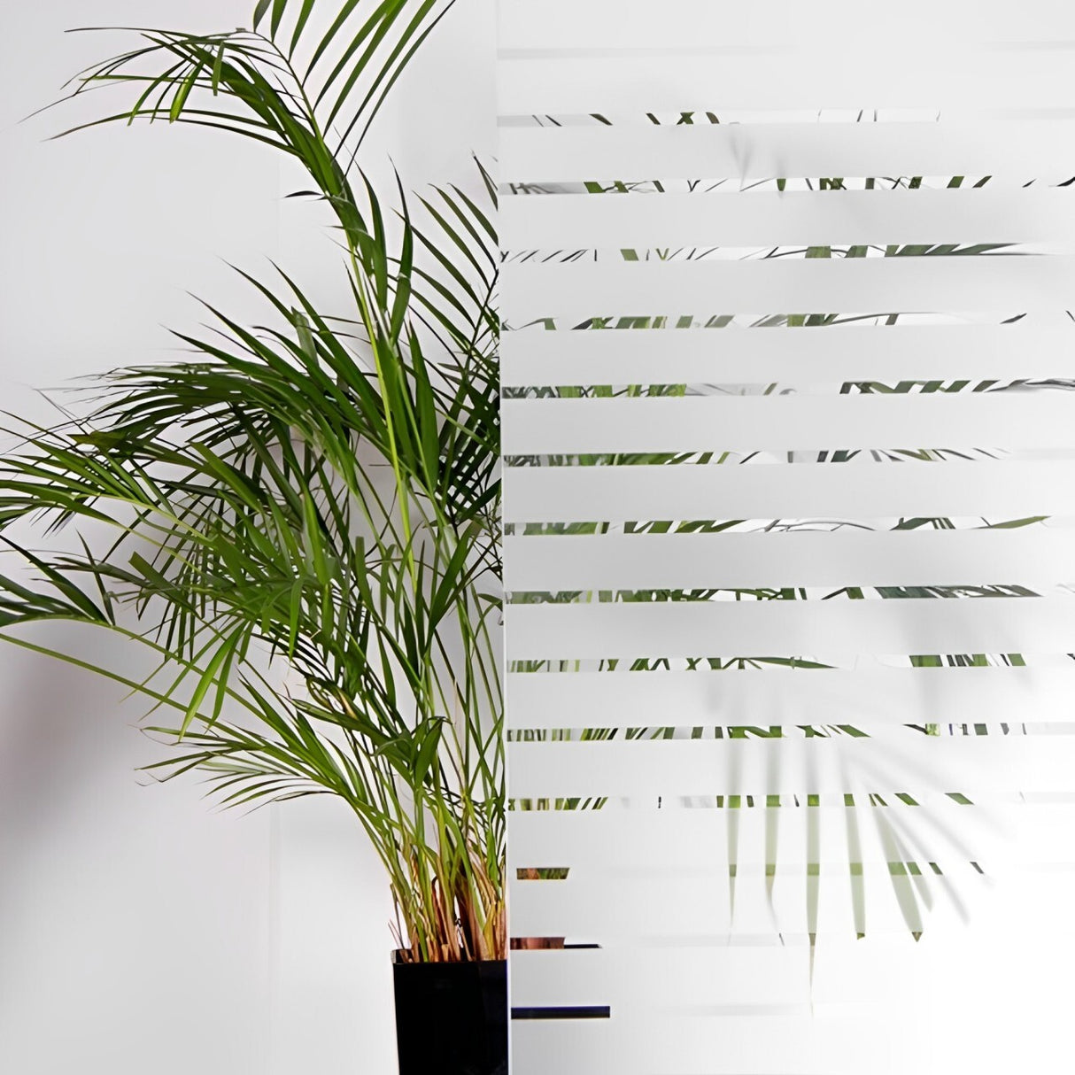 Frosted Window Film 45mm Stripe