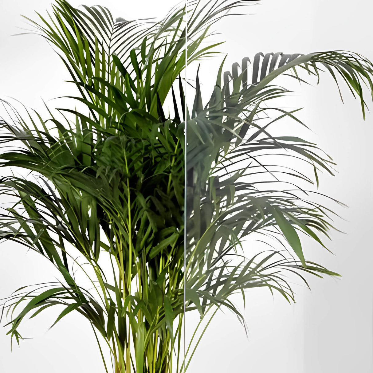 Clear UV window film