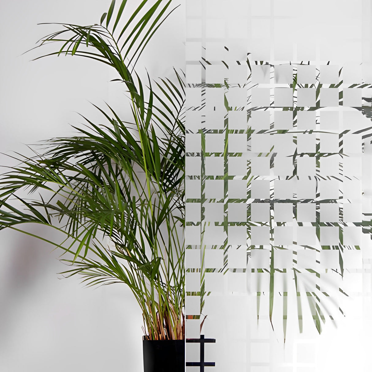 Frosted 45mm Squares Window Film