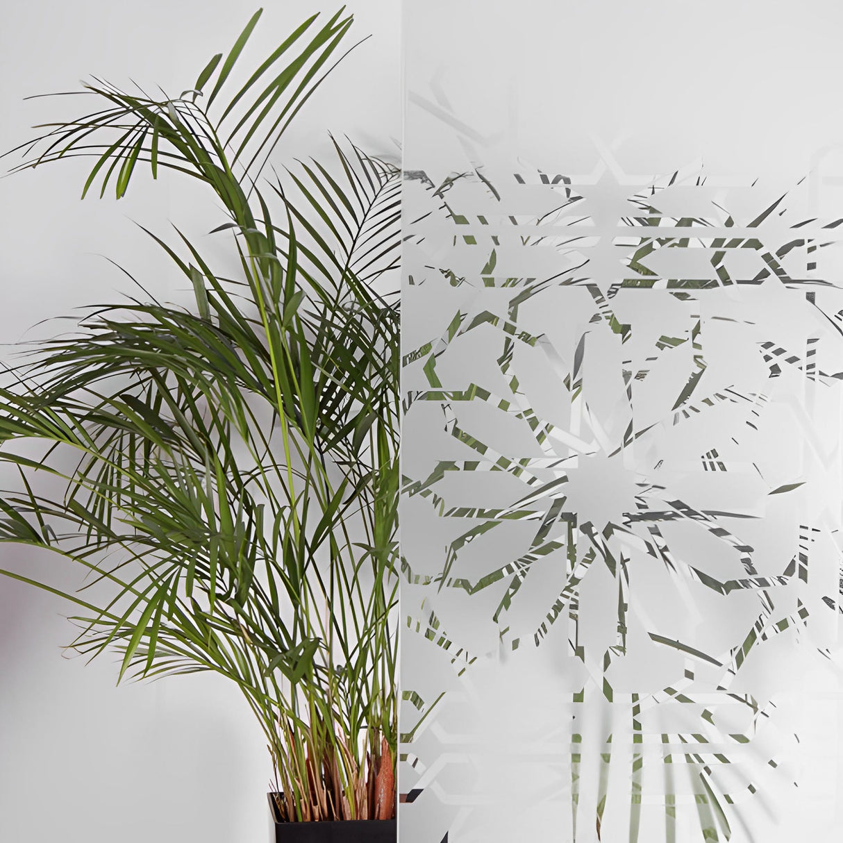 Frosted Rosettes Window Film