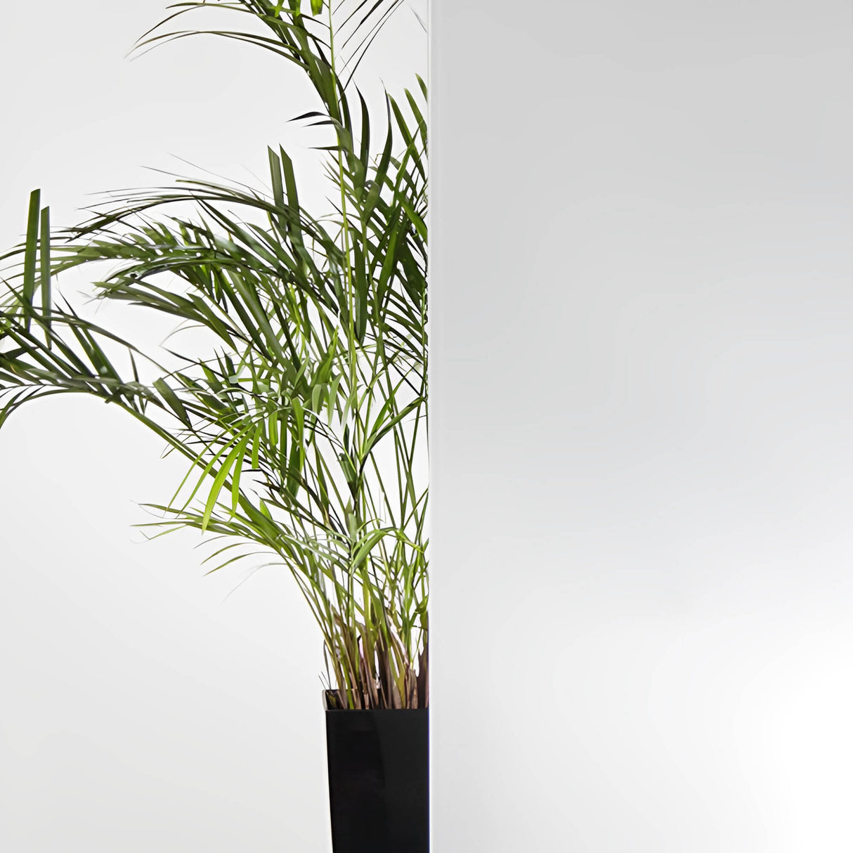 Opaque Frosted Privacy