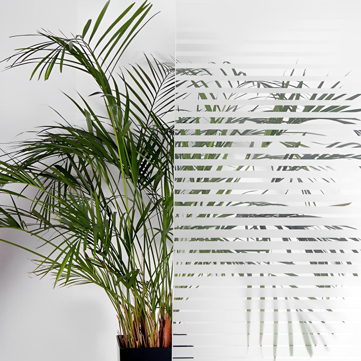 Small Frosted Decreasing Stripes Window Film