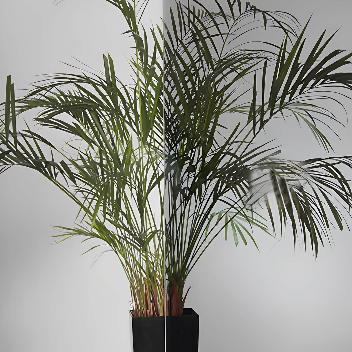 Sterling-50, UV-Solar Window Film