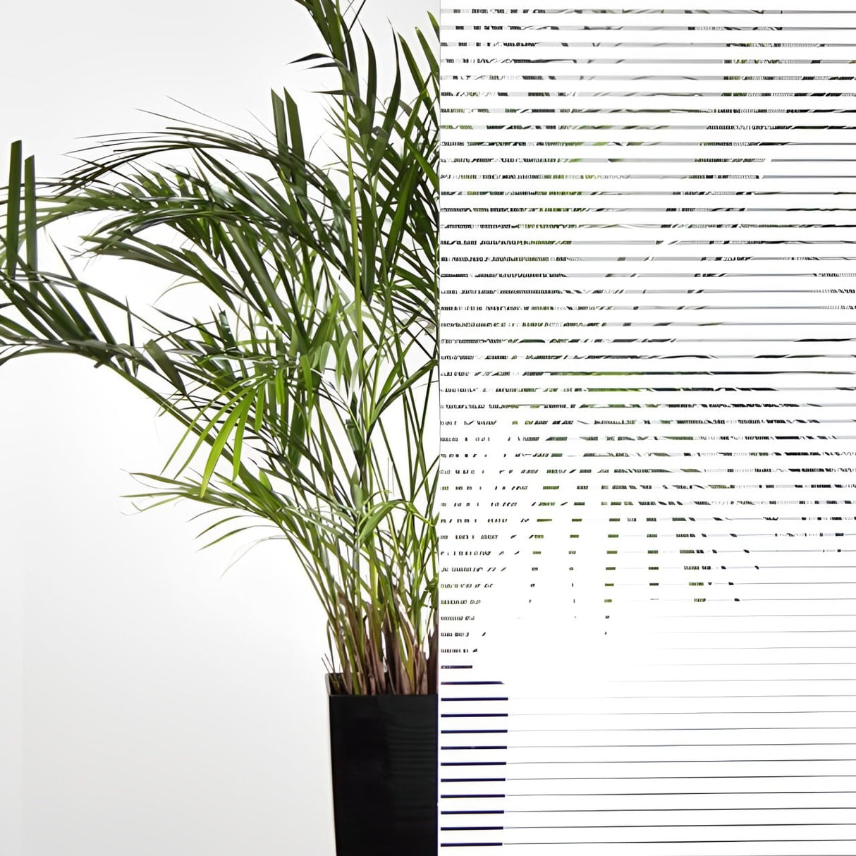 Venetian Stripe Frosted Window Graphic