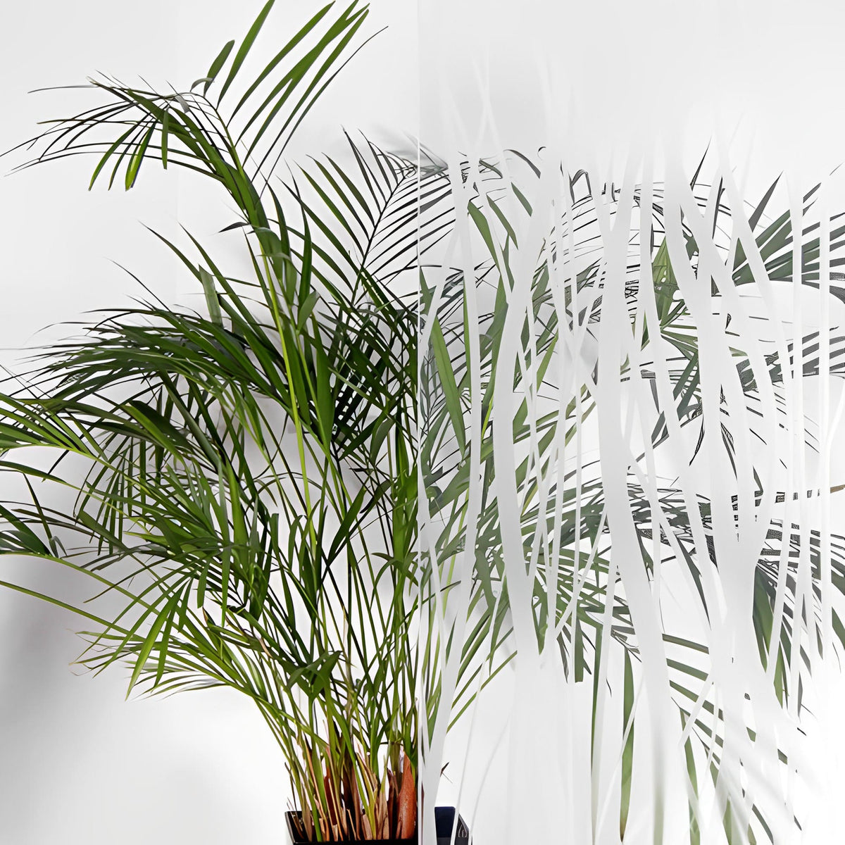 45mm Vertical Stripe Frosted Window Film | Sleek Privacy for Glass ...
